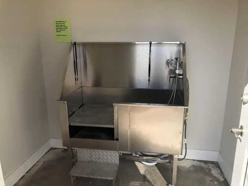Dog wash station with raised basin